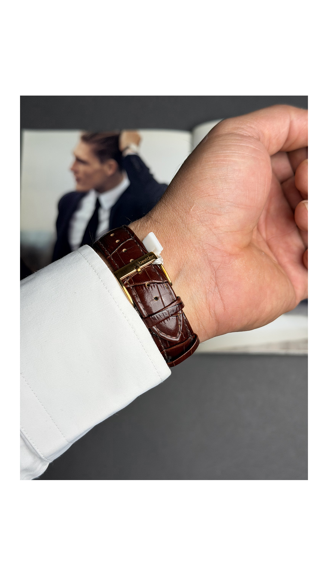 dolphin_codes.web_matrial_media گالری