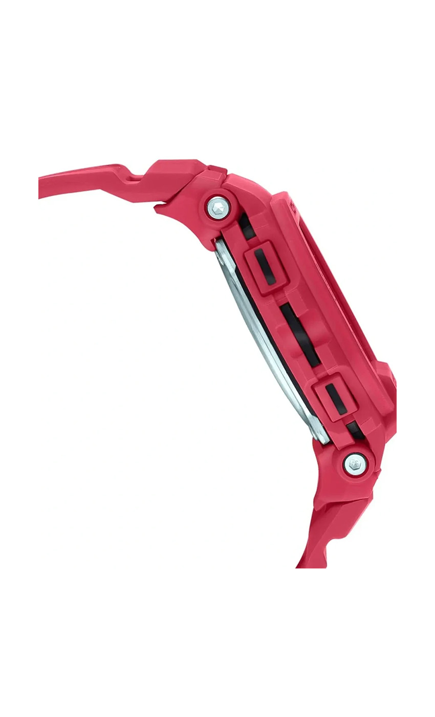 dolphin_codes.web_matrial_media گالری