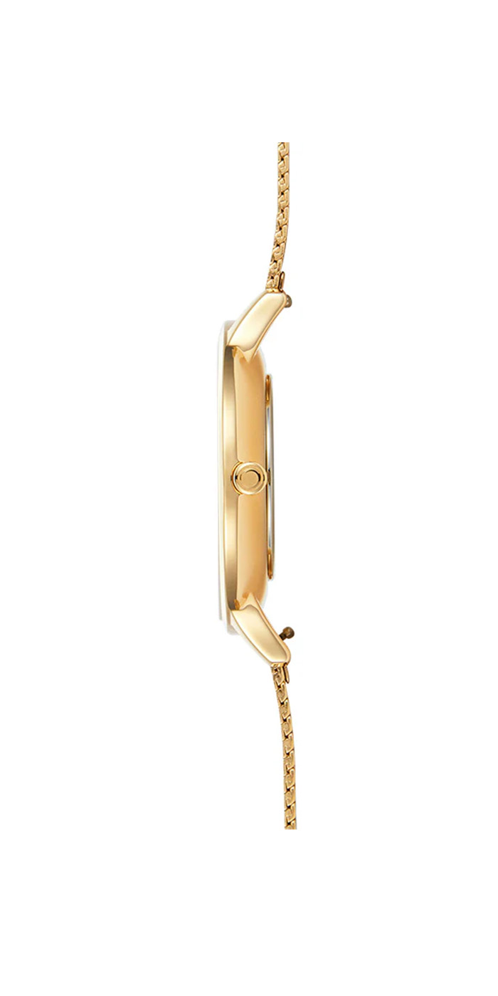 dolphin_codes.web_matrial_media گالری