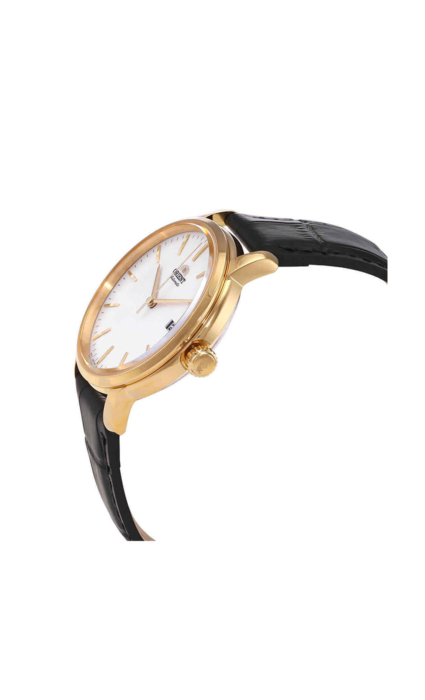 dolphin_codes.web_matrial_media گالری