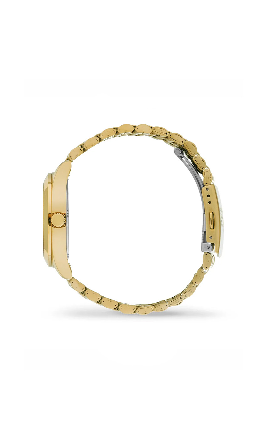 dolphin_codes.web_matrial_media گالری