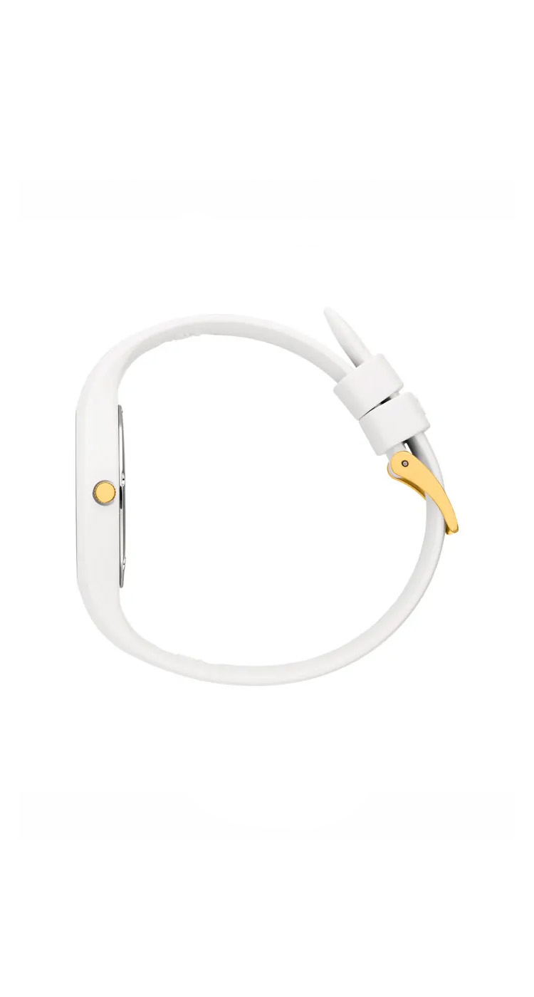 dolphin_codes.web_matrial_media گالری