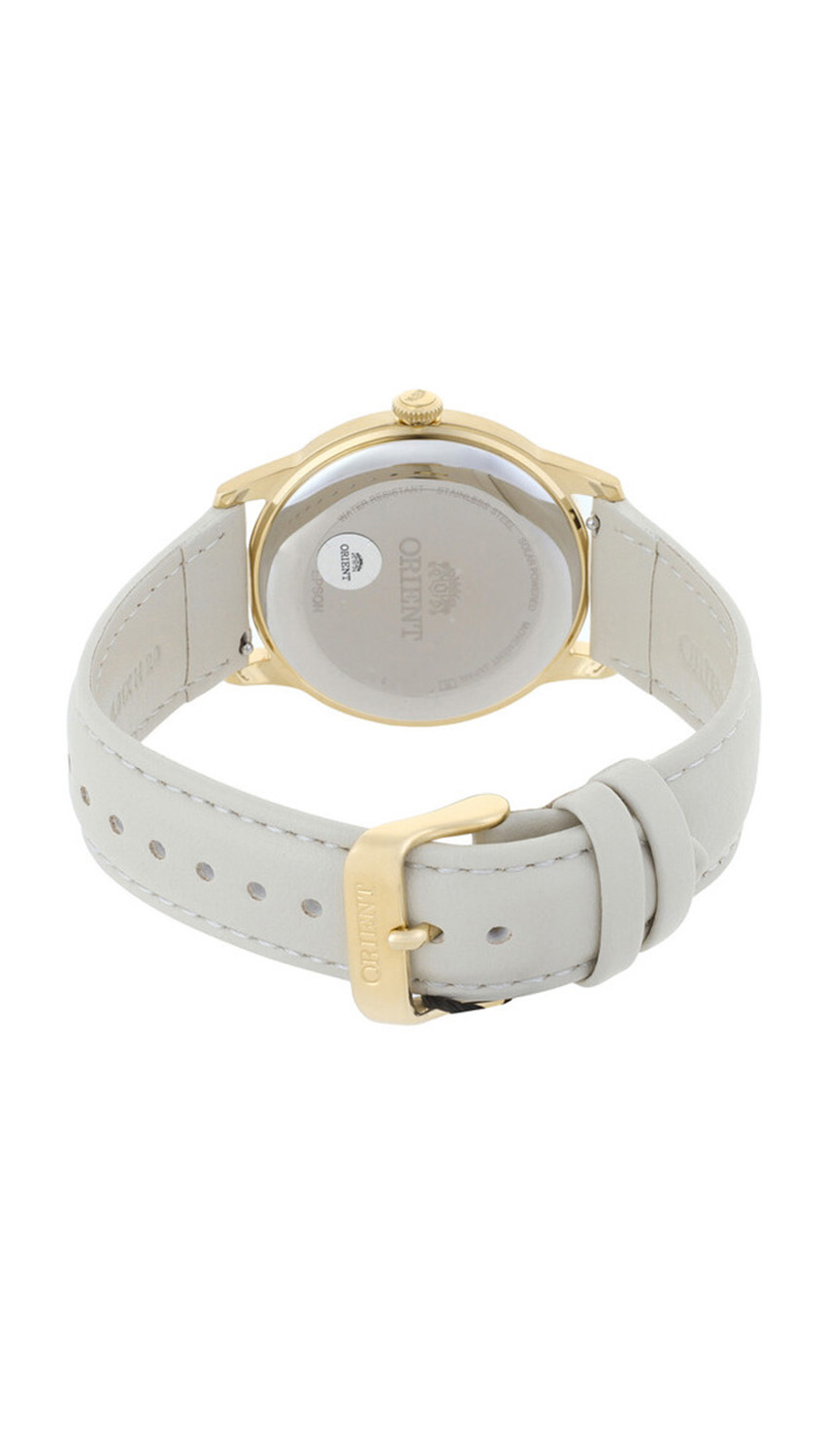 dolphin_codes.web_matrial_media گالری