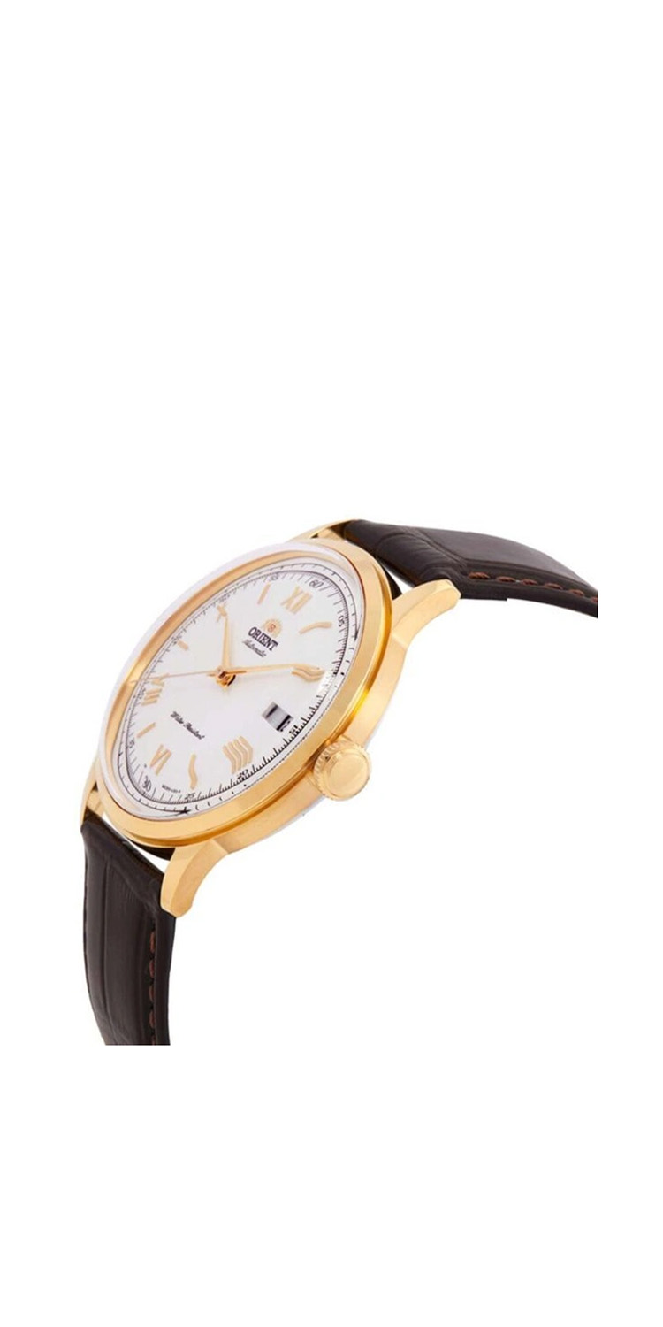 dolphin_codes.web_matrial_media گالری